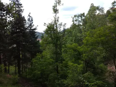 КМЕТСТВО ПРИПЕК