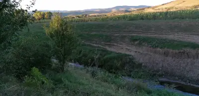 Храм „Свети Димитър“