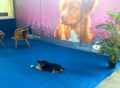 Крематориум за домашни любимци Pet in Peace