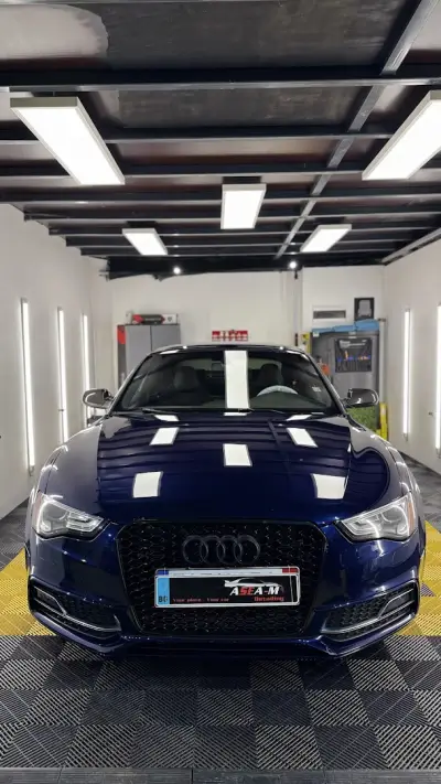 ASEA-M Detailing