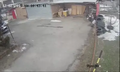 Даскалов