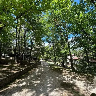 Къщи за гости Gesha Forest