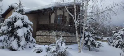 Вилно селище "Св. Георги Победоносец" | Фамилни вили Батак | Почивка Цигов Чарк