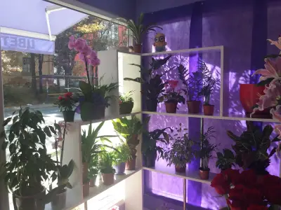 Магазин за цветя "Juliana flowers"