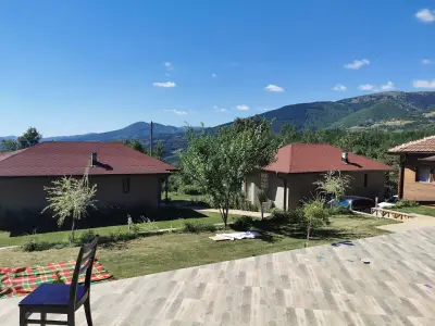 Борисови къщи