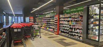 BulMag