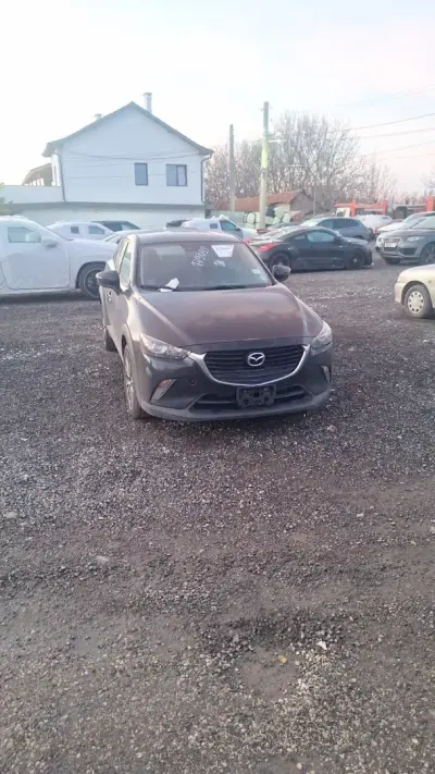 Bibi Cars