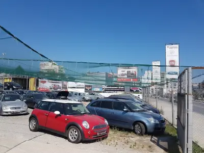 Champion Auto