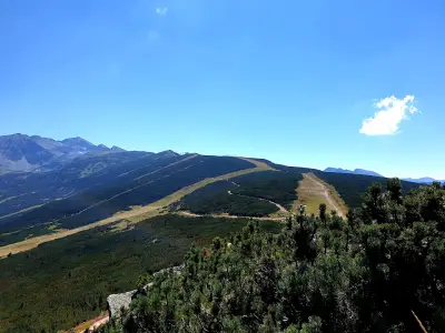 Лифт Ястребец