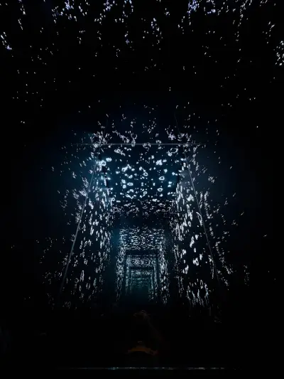 Videnie - Immersive Space