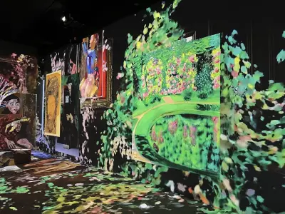 Videnie - Immersive Space