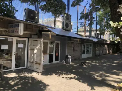 Хрупаница