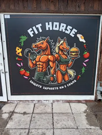Fit Horse