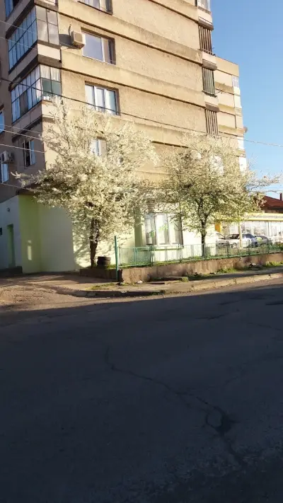 Кафе Цигари Вестници Еспресо "Тихия Кът "