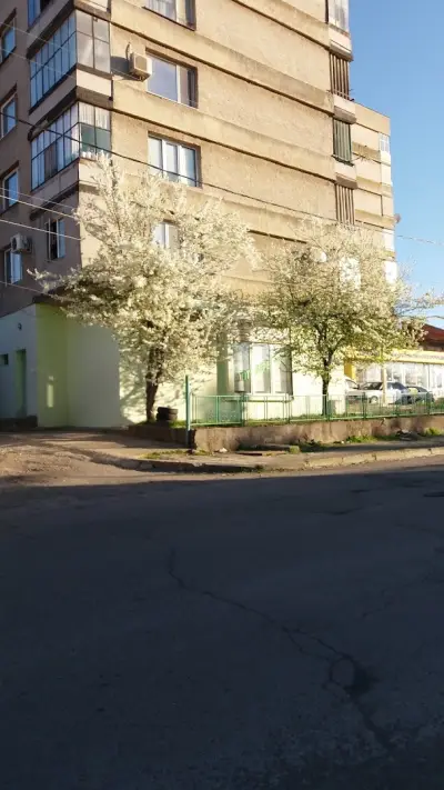 Кафе Цигари Вестници Еспресо "Тихия Кът "