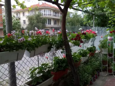Кафе Цигари Вестници Еспресо "Тихия Кът "