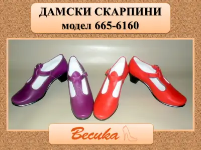 Обувна фабрика ''Весика"