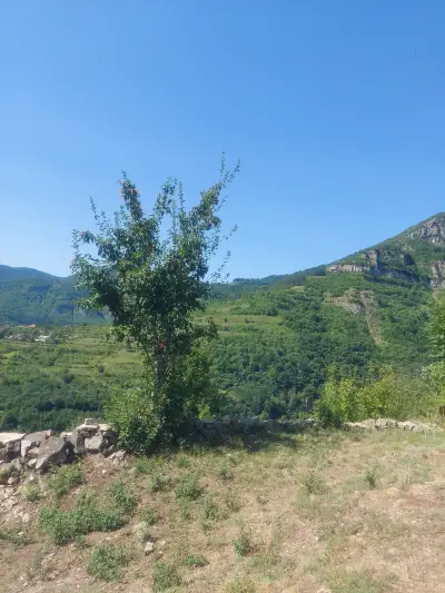 Люлката на любовта