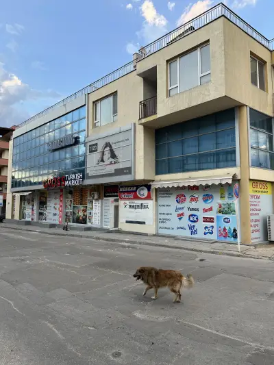 GROSS Turkish Market