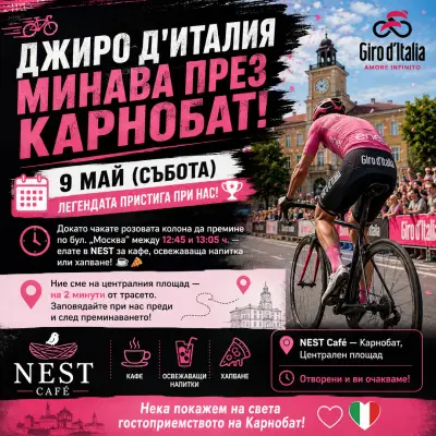 Nest