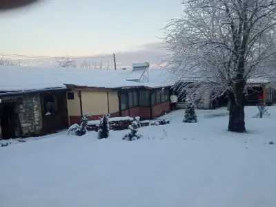 Мехса