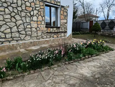 КЪЩА ЗА ГОСТИ ПОЛИ
