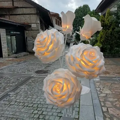 Vaira studio