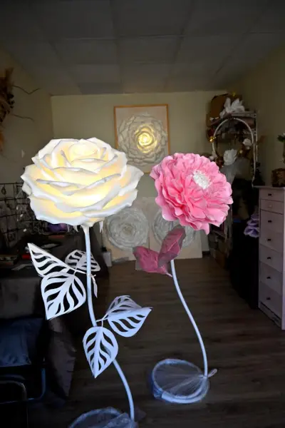 Vaira studio