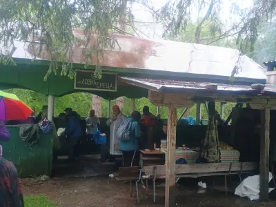 Сайганица
