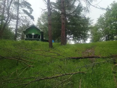Сайганица