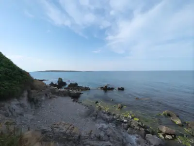 Панорамна гледка