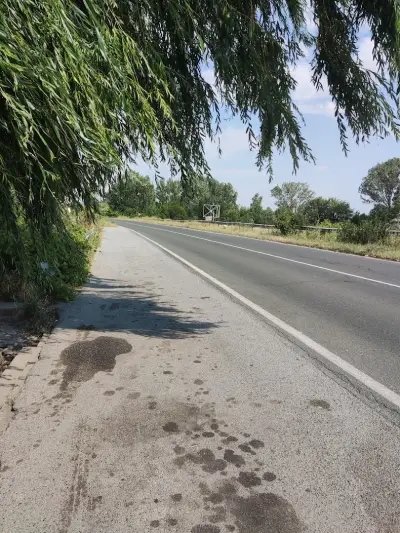 Бялата чешма