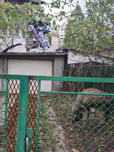 Kassadin Statue