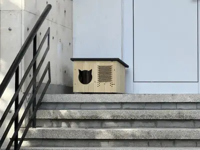 Котаракът Тинто