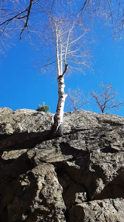 Ел Шадай