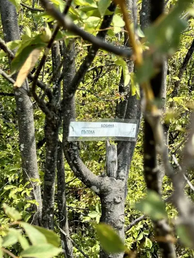 Панорама(Гледката)