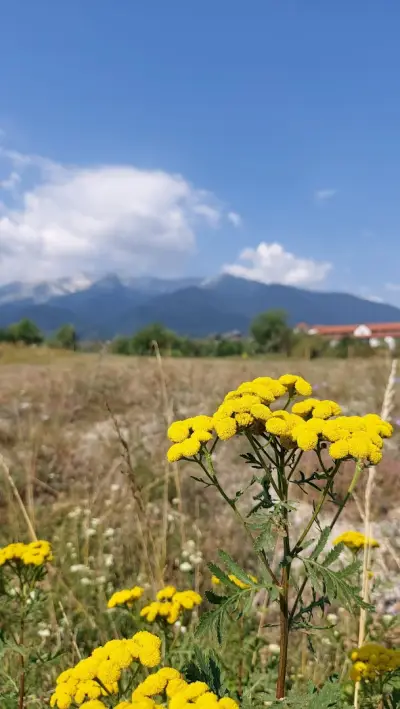 Bansko Panoramic Viewpoint