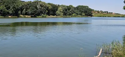 Гребна база