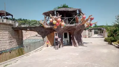 Happy Land