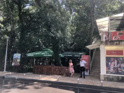 Бистро Медеа- Bistro Medusa