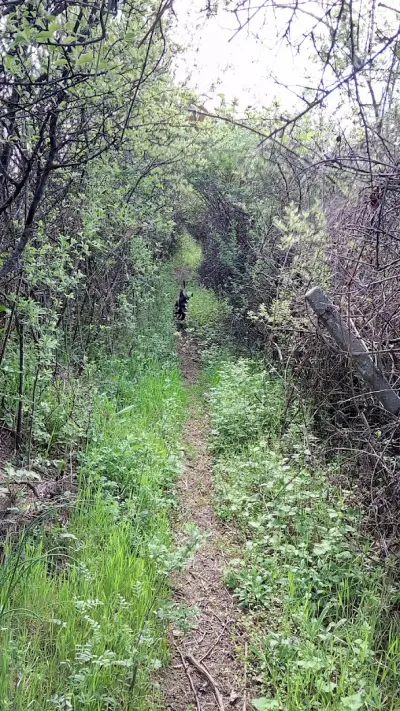 Парк Панорама