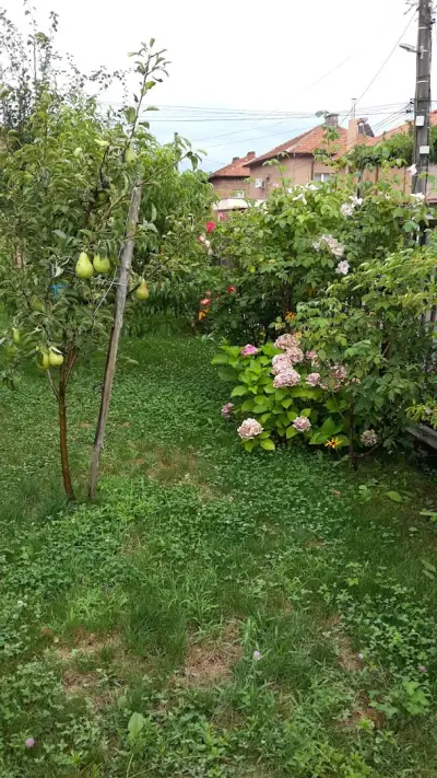 Парк Панорама