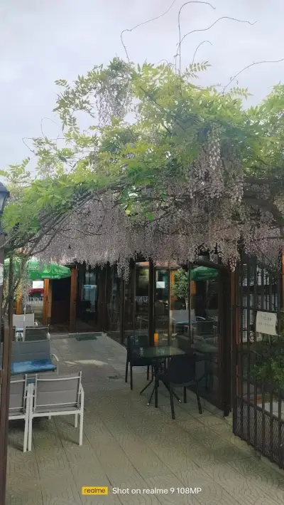 Sunny bar