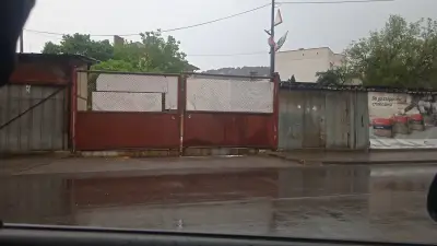 Колев-Б
