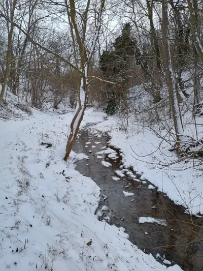 Георгиева чешма