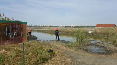 Луга, гр. Бургас