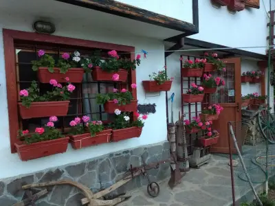 Villa Kati Vacation House