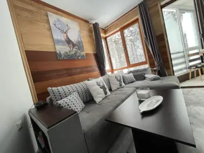 Elizi2 winter apartments Pamporovo