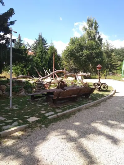 ПинусВилас