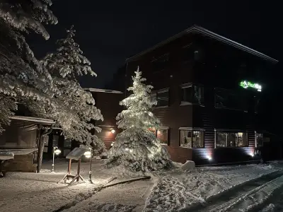 ПинусВилас